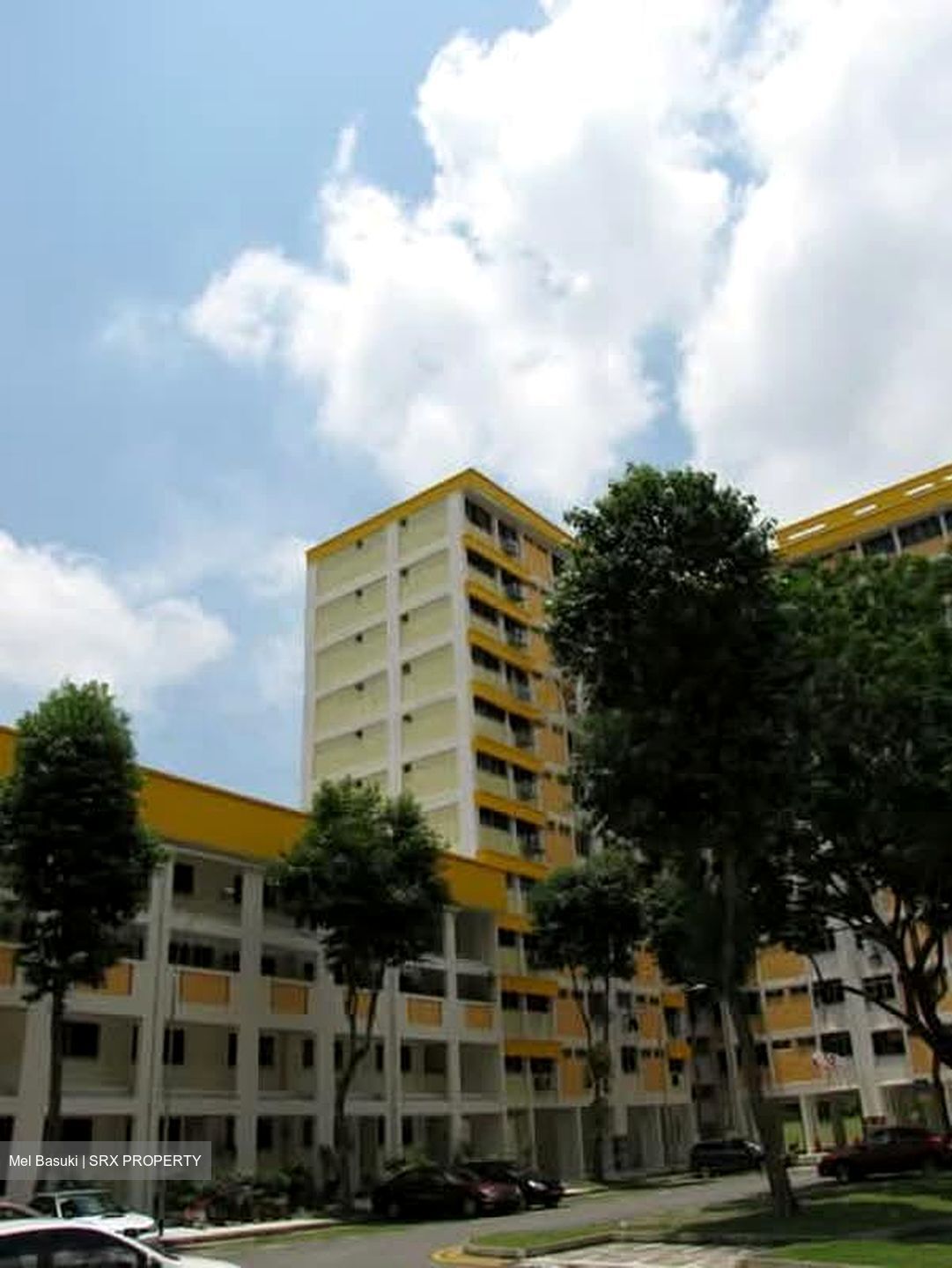 Blk 276 Bangkit Road (Bukit Panjang), HDB Executive #575741641